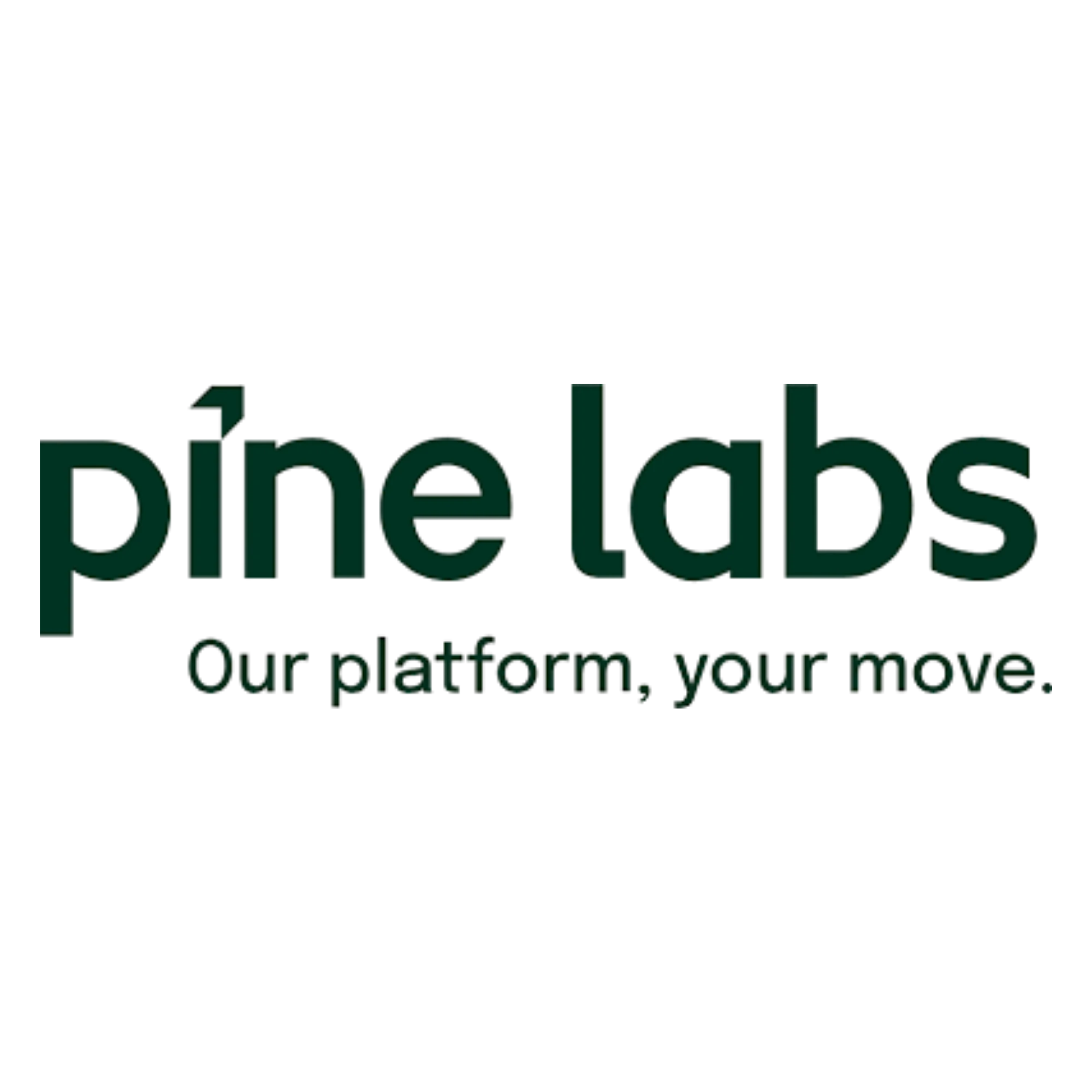 Finance Tieup - Pin Labs