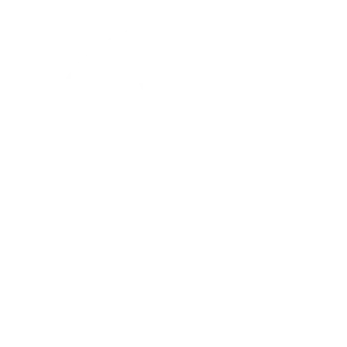 Lords Mobility Logo - white
